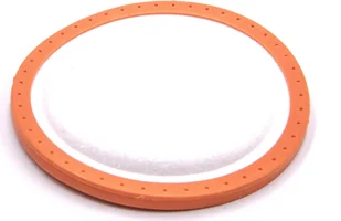 Filtr Hoover do odkurzaczy takich jak Dirt Devil 2991001 , Filtr ochronny silnika - Filtry do odkurzaczy - miniaturka - grafika 1