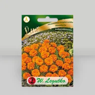 Nasiona i cebule - Aksamitka rozpierzchła Mandarin Pomarańczowa 0,5g - Nasiona - W. Legutko - miniaturka - grafika 1