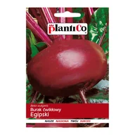 Nasiona i cebule - Burak ćwikłowy Egipski - miniaturka - grafika 1