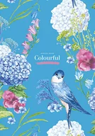 Notesy i bloczki - Astra Brulion A4/80K kratka Classy 430823 - miniaturka - grafika 1