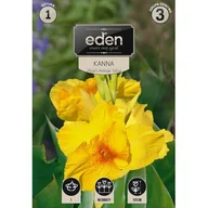 Nasiona i cebule - Kanna Pfitzer's Promose 1 sztuka Eden - miniaturka - grafika 1