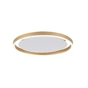 Lampy sufitowe - Paul Neuhaus Mosiężna lampa sufitowa 40 cm z 3-stopniową regulacją LED - Zlatan - miniaturka - grafika 1