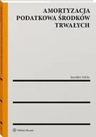 Prawo - Amortyzacja podatkowa środków trwałych - Jarosław Sekita - miniaturka - grafika 1