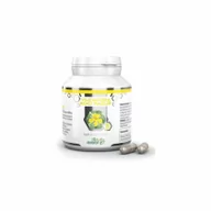 Suplementy naturalne - BOTANICAL RESEARCH B&M Vilcacora 90 k Koci Pazur BR3146 - miniaturka - grafika 1