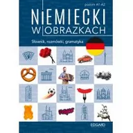 Książki obcojęzyczne do nauki języków - Niemiecki w obrazkach słówka rozmówki gramatyka - miniaturka - grafika 1