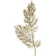 Ozdoby bożonarodzeniowe - Sztuczny Liść na łodydze z brokatem, wys. 90 cm - miniaturka - grafika 1