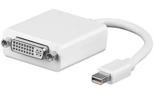 Microconnect Mini Displayport 1.2 To Dvi-I Adapter - Kable - miniaturka - grafika 1