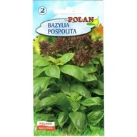 Nasiona i cebule - Bazylia Pospolita Polan - miniaturka - grafika 1