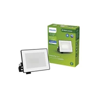 Oświetlenie warsztatowe - Naświetlacz LED Philips Projektor zewnętrzny 10W 950lm 3000K IP65 Czarny Lois - miniaturka - grafika 1