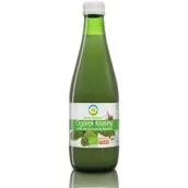 Soki i napoje niegazowane - Bio Food SOK Z OGÓRKA KWASZONEGO BEZ CUKRU BIO 300ml - miniaturka - grafika 1