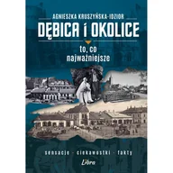 Książki regionalne - Dębica i okolice. To, co najważniejsze - miniaturka - grafika 1