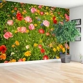 Fototapety - Fototapeta Kwiaty Łąka - miniaturka - grafika 1