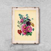 Plakaty - Plakat do pokoju Kwiat Malwy A1 60x85cm z ramką pion - miniaturka - grafika 1