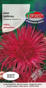 Nasiona Aster wysoki igiełkowy wiśniowoamarantowy - Torseed - Nasiona i cebule - miniaturka - grafika 1