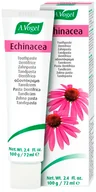 Pasty do zębów - Pasta do zębów A.Vogel Echinacea 100 g (7610313021239) - miniaturka - grafika 1