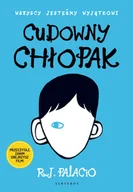Powieści i opowiadania - Cudowny chłopak - miniaturka - grafika 1