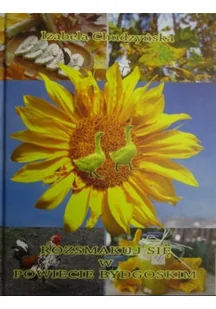 Rozsmakuj się w powiecie bydgoskim - Książki kucharskie - miniaturka - grafika 1