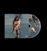 Pop - Wildfire - miniaturka - grafika 1