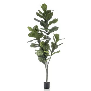 Emerald Sztuczny figowiec dębolistny, 160 cm - Sztuczne kwiaty - miniaturka - grafika 1