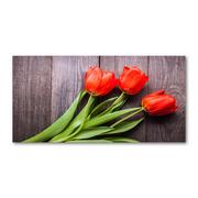 Obrazy i zdjęcia na płótnie - Foto obraz szkło akryl Czerwone tulipany - miniaturka - grafika 1