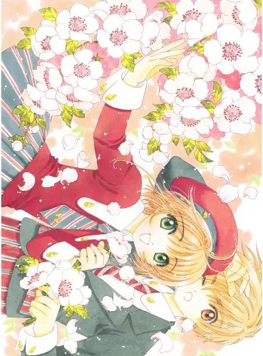 Plakat Anime Cardcaptor Sakura ccs_811 A2 (custom)