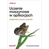 Książki o programowaniu - Uczenie maszynowe w aplikacjach. Projektowanie, budowa i wdrażanie - miniaturka - grafika 1