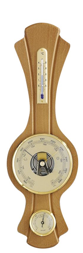 Stacja pogodowa Germany, olcha