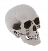 Halloween - SZTUCZNA CZASZKA CZACHA SZARA CIENIOWANA HALLOWEEN DEKORACJA OZDOBA 11CM - miniaturka - grafika 1