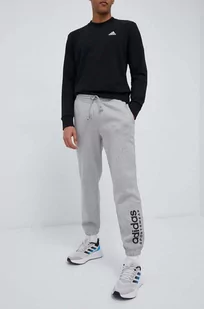 adidas spodnie dresowe kolor szary z nadrukiem - Spodnie męskie - miniaturka - grafika 1