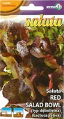 Nasiona i cebule - Sałata dębolistna Red Salad Bowl 1g / L / - miniaturka - grafika 1