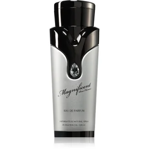 Armaf Magnificent Pour Homme woda perfumowana dla mężczyzn 100 ml - Wody i perfumy męskie - miniaturka - grafika 1