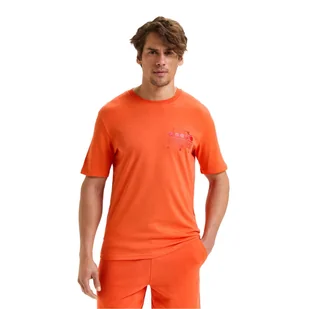 Koszulka DIADORA T-SHIRT SS MANIFESTO - Koszulki sportowe męskie - miniaturka - grafika 1