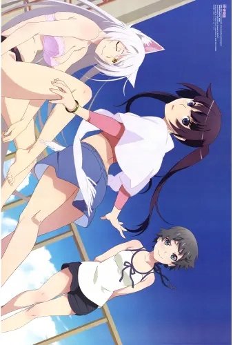 Plakat Anime Bakemonogatari bm_100 A2 (custom)