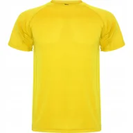Koszulki męskie - Koszulka Sportowa Męska T-shirt CONTROL DRY ROLY 0425 ŻÓŁTA 2XL - miniaturka - grafika 1