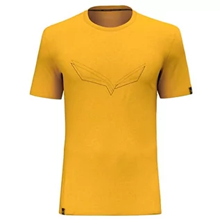 Koszulki męskie - Salewa Pure Eagle Frame Dry T-shirt męski, złoty, XL, złoto, XL - grafika 1