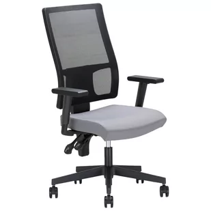 Fotel biurowy, krzesło biurowe Fotel Obrotowy Biurowy Taktik-Mesh TS25 Rts ERGON-2L Nowy Styl - Fotele i krzesła biurowe - miniaturka - grafika 1