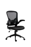 Fotele i krzesła biurowe - Ergonomiczny fotel młodzieżowy z podnoszonymi podłokietnikami LUIS czarny - miniaturka - grafika 1