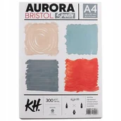 Podobrazia, bloki, papiery - Blok AURORA Bristol Smooth 300g/m2 A4 - miniaturka - grafika 1