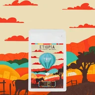 Kawa - Kawa ziarnista Trip Coffee Etiopia 250g - miniaturka - grafika 1