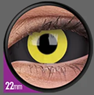 Soczewki kontaktowe - Maxvue Vision Crazy Sclera - Angel Dust - miniaturka - grafika 1