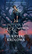 Fantasy - Ukryta Królowa. Księga 1. Cykl Zmroku - miniaturka - grafika 1