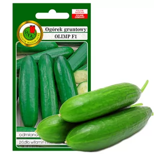 OGÓREK GRUNTOWY SAŁATKOWY OLIMP  NASIONA BEZ GMO 5g - Nasiona i cebule - miniaturka - grafika 1
