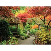 Ramki na zdjęcia - Obraz typu canvas o wymiarach 50 x 70 cm - miniaturka - grafika 1