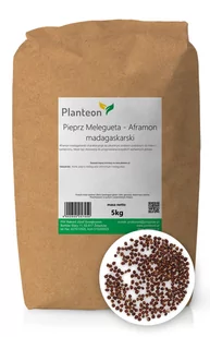 Pieprz Melegueta - Aframon madagaskarski 5kg - Pieprz - miniaturka - grafika 1