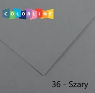 Szkolne artykuły papiernicze - Canson Karton COLORLINE 150g 50*65 szary (10) 10A 36 41412 CANSON byk0370014 - miniaturka - grafika 1