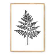 Plakaty - Dekoria Dekoria Plakat Fern Grey 21 x 30 cm Ramka Złota 218A-000-07 - miniaturka - grafika 1