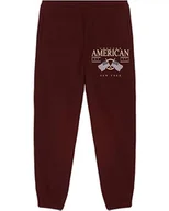 Spodnie sportowe męskie - AMERICAN COLLEGE USA Spodnie dresowe męskie, Burgundy, L - miniaturka - grafika 1
