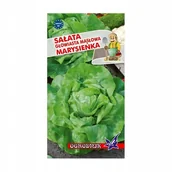 Nasiona i cebule - Sałata masłowa Marysieńka 2g / O / - miniaturka - grafika 1