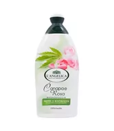 Peelingi do ciała - L' Angelica Canapa e Rosa - żel pod prysznic róża i konopia (450 ml) - miniaturka - grafika 1