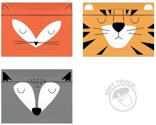 Interdruk, Teczka z gumką A5, BB Friends Boys - Teczki i skoroszyty - miniaturka - grafika 1